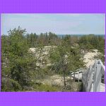 Easy Way to Climb Dunes.jpg